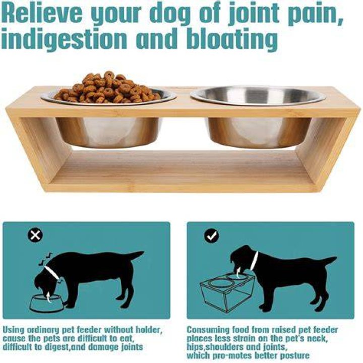 Can raised dog bowls cause bloat?