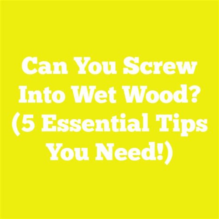 Can you drill a screw into wet wood?