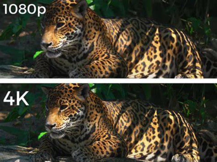 Do our eyes see in 8K?