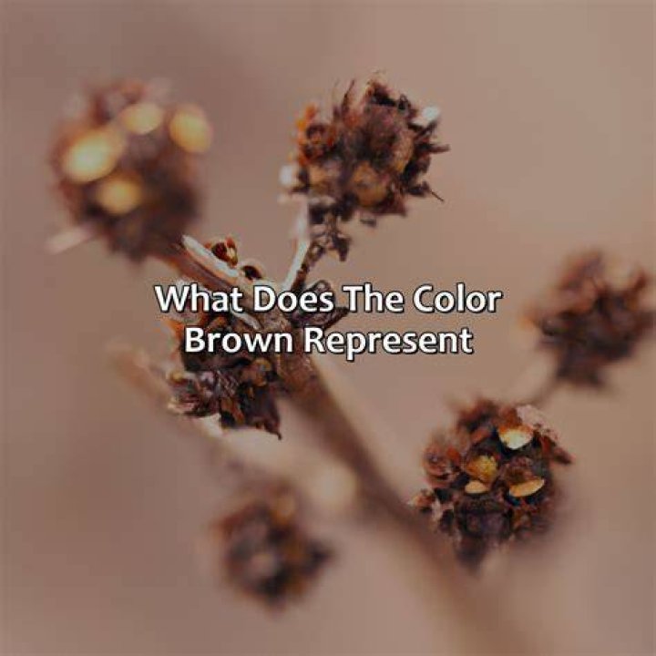 Does brown actually exist?