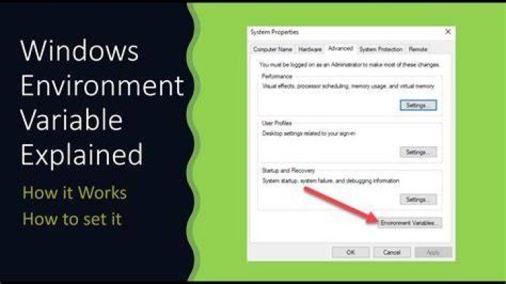 How do I check if an environment variable is set?