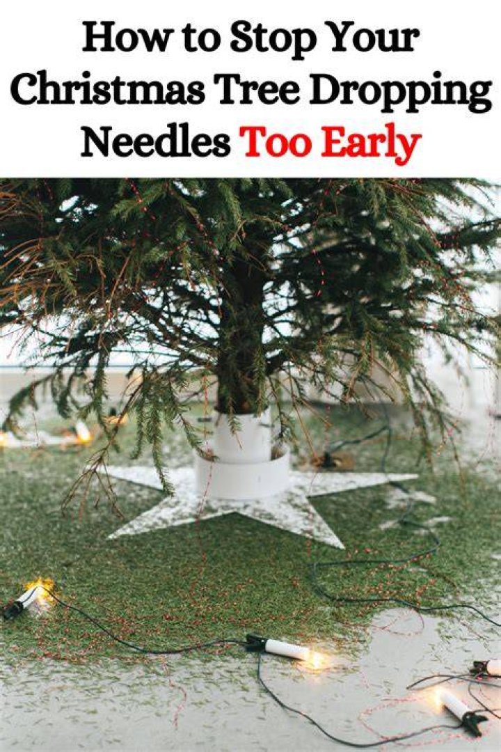 How do I stop my Christmas tree from dropping needles?