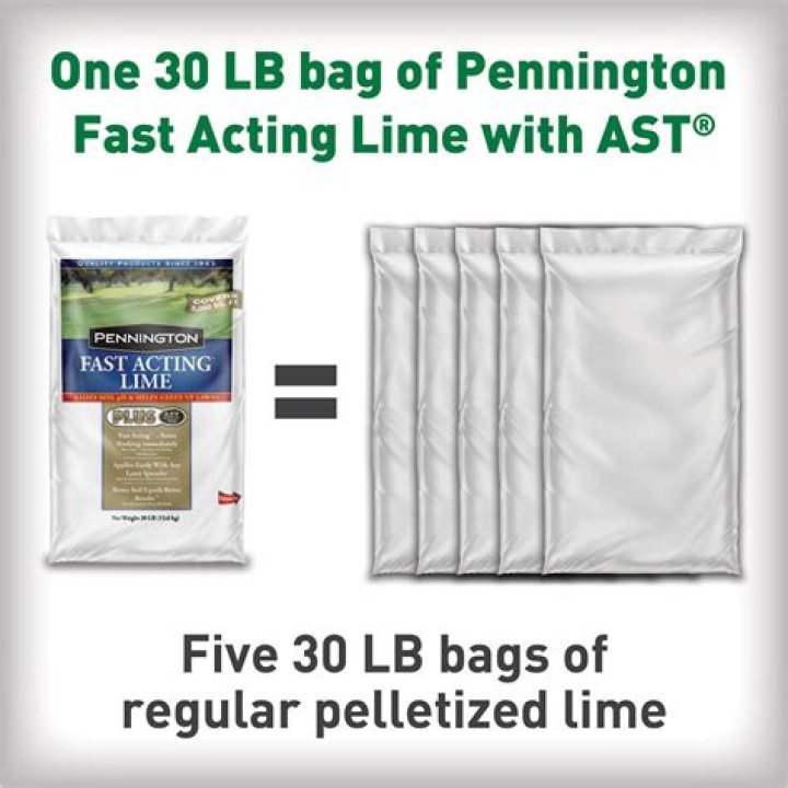 How long does it take for fast acting lime to work?