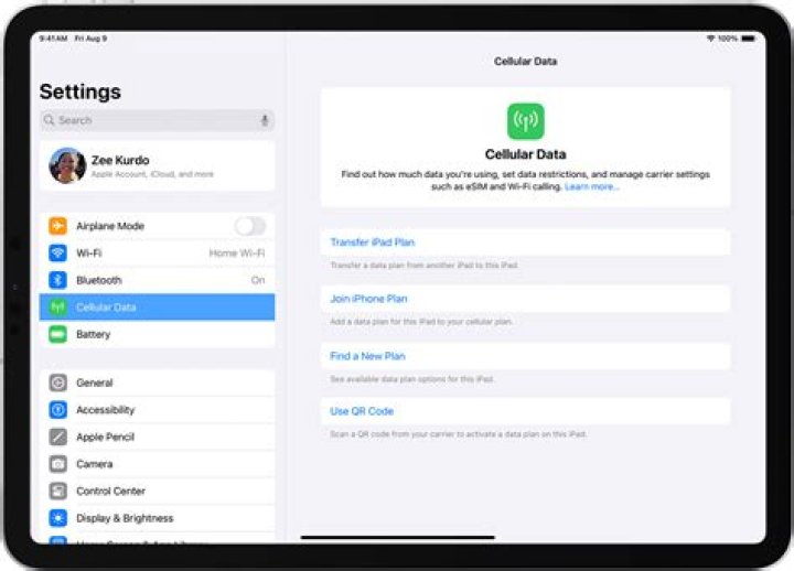 How much is cellular data on iPad?