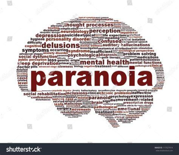 Is paranoia a brain disorder?