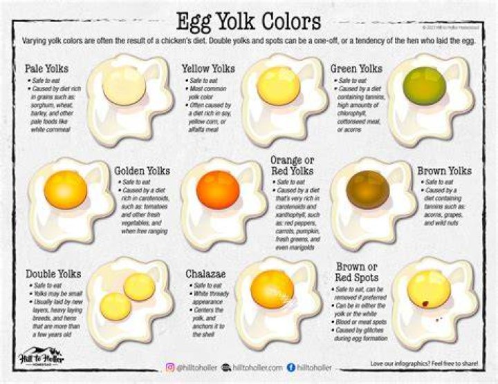 What does a darker yolk mean?