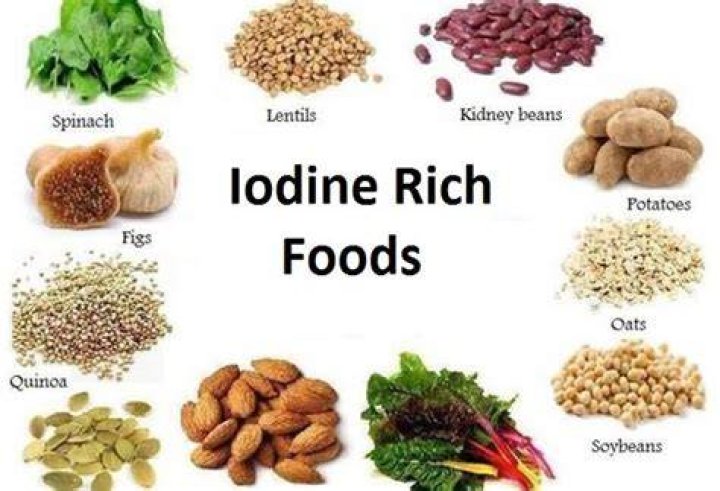 What food is rich in iodine?