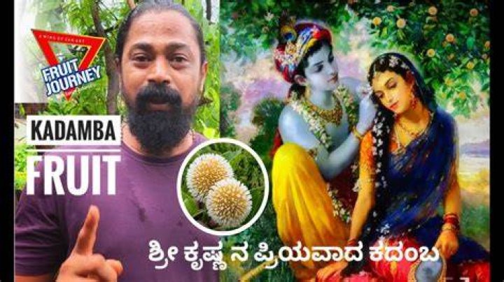 What is Krishna's favorite fruit?