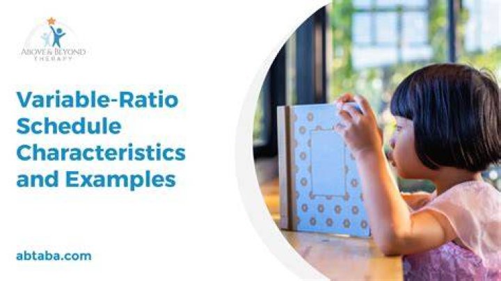 What is schedule and its characteristics?