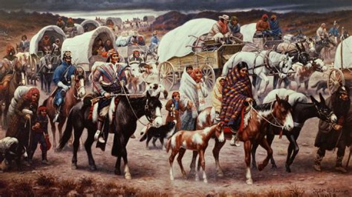 What tribe was removed from their land during the Trail of Tears?